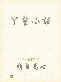 丫鬟小说