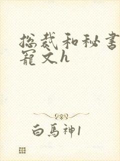 总裁和秘书的肉宠文h