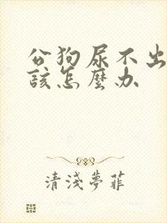 公狗尿不出来应该怎么办