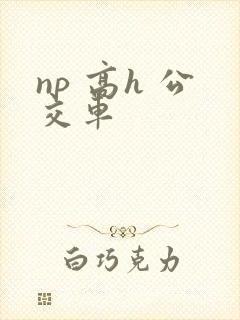 np 高h 公交车
