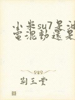 小米su7是油电混动还是纯电