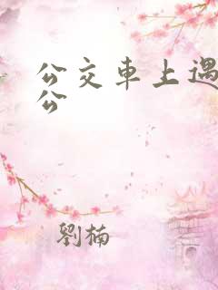 公交车上遇到公公