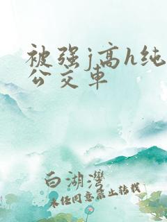 被强j高h纯肉公交车