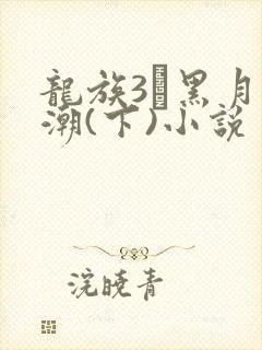 龙族3·黑月之潮(下)小说