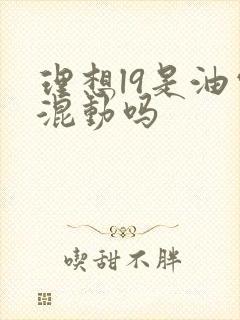 理想l9是油电混动吗
