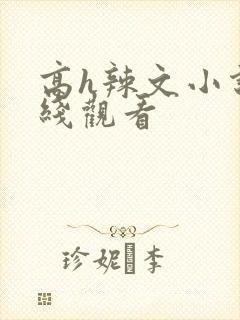 高h辣文小说在线观看