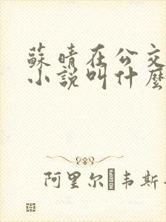 苏晴在公交上的小说叫什么