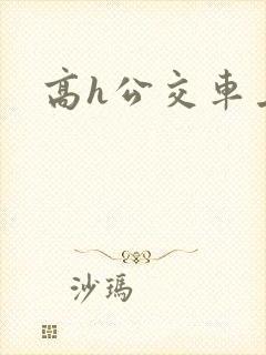 高h公交车上