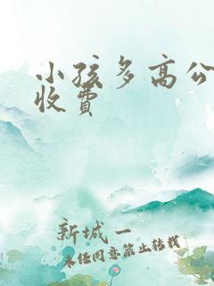 小孩多高公交车收费