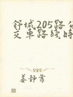 舒城205路公交车路线时间表