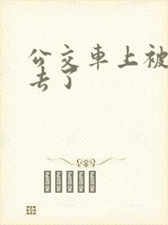 公交车上被插进去了