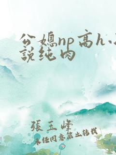 公媳np高h小说纯肉
