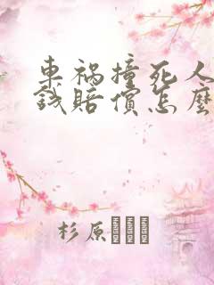 车祸撞死人没有钱赔偿怎么办