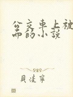 公交车上被摸下面的小说
