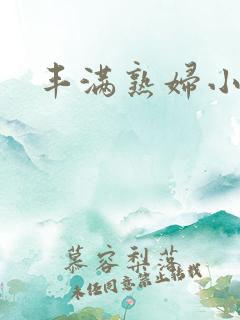 丰满熟妇小说网