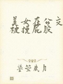 美女在公交车上被摸屁股