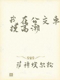 我在公交车上被摸高潮
