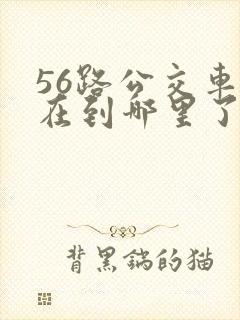 56路公交车现在到哪里了