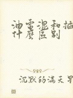 油电混和插混有什么区别