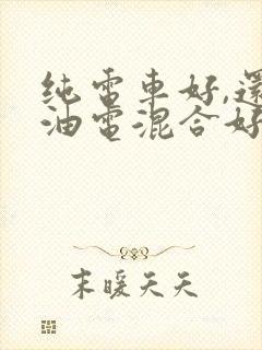 纯电车好,还是油电混合好