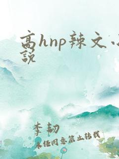 高hnp辣文小说
