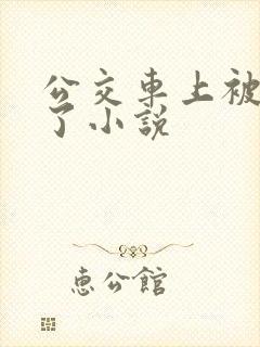 公交车上被乱操了小说