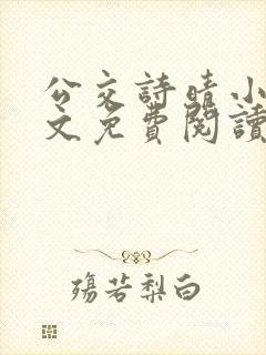 公交诗晴小说全文免费阅读