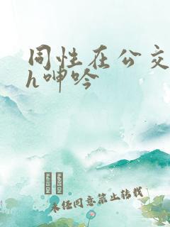 同性在公交车上h呻吟