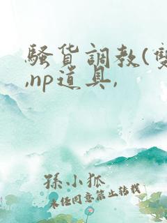 骚货调教(双性,np道具,