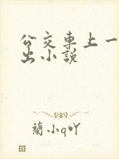 公交车上一进一出小说