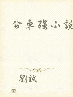 公车强小说