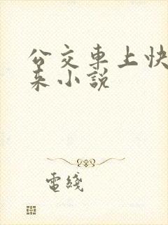 公交车上快插进来小说