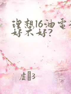 理想l6油电混好不好?