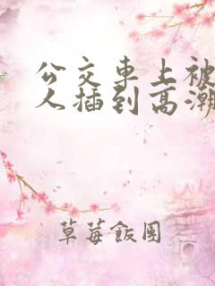 公交车上被陌生人插到高潮