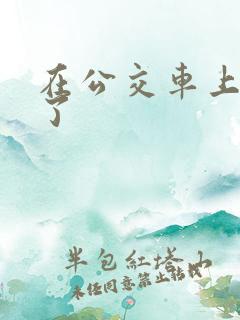 在公交车上被上了