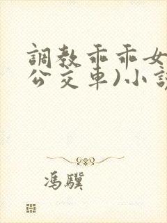 调教乖乖女h(公交车)小说