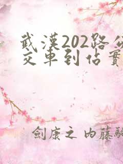 武汉202路公交车到站实时查询