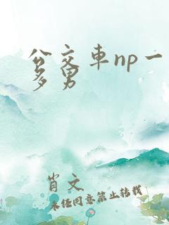 公交车np一女多男