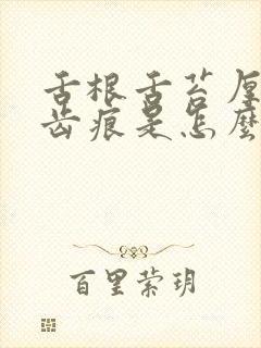 舌根舌苔厚白有齿痕是怎么回事