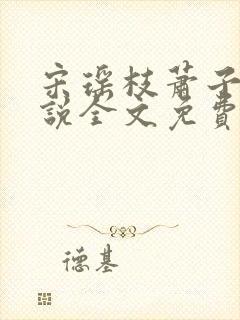 宋瑶枝萧子骞小说全文免费阅读