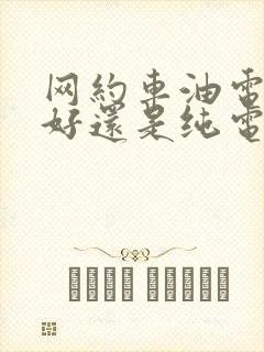 网约车油电混合好还是纯电动好