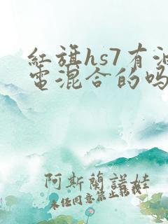 红旗hs7有油电混合的吗
