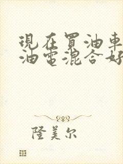 现在买油车还是油电混合好