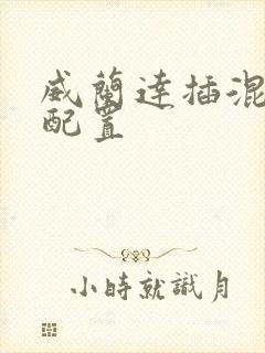 威兰达插混参数配置