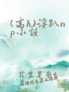 (高h)淫趴np小说