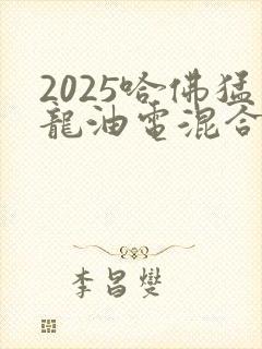 2025哈佛猛龙油电混合价格