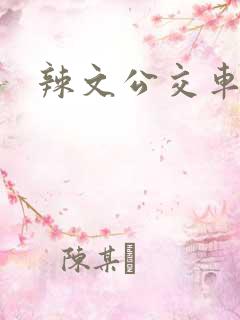 辣文公交车短篇