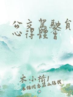 公交驾驶员安全心得体会