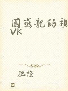 国燕龙的视频IVK
