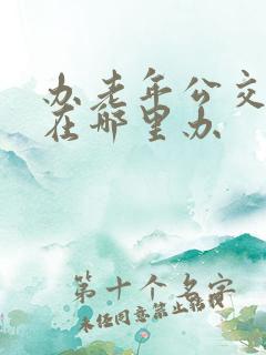 办老年公交车卡在哪里办